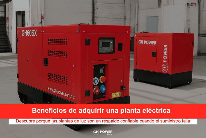 Plantas de luz: ¿Qué son, para qué sirven y cómo elegir la mejor opción?